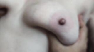 Cute Bhabhi Big Boobs Sucking