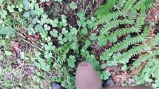 For the Pee-ple. Pee Oh Vee Pee pov