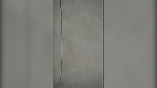 lesbianas hot me motivan a correrme en una de ellas