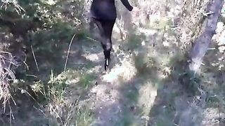 Walking on the wood wearing a black dress, pantyhose and high heels ankle boots