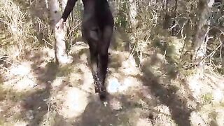 Walking on the wood wearing a black dress, pantyhose and high heels ankle boots