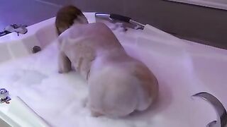 I always need a big cock in my ass, I love anal sex, full orgasms showing off my big ass