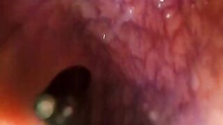 POV: Gulping you into the tip of my transverse